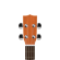 ukulele